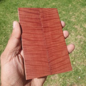Massarunduba Scales - Set - 130*40*9