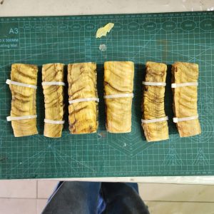 Marino Rams Horn - Set