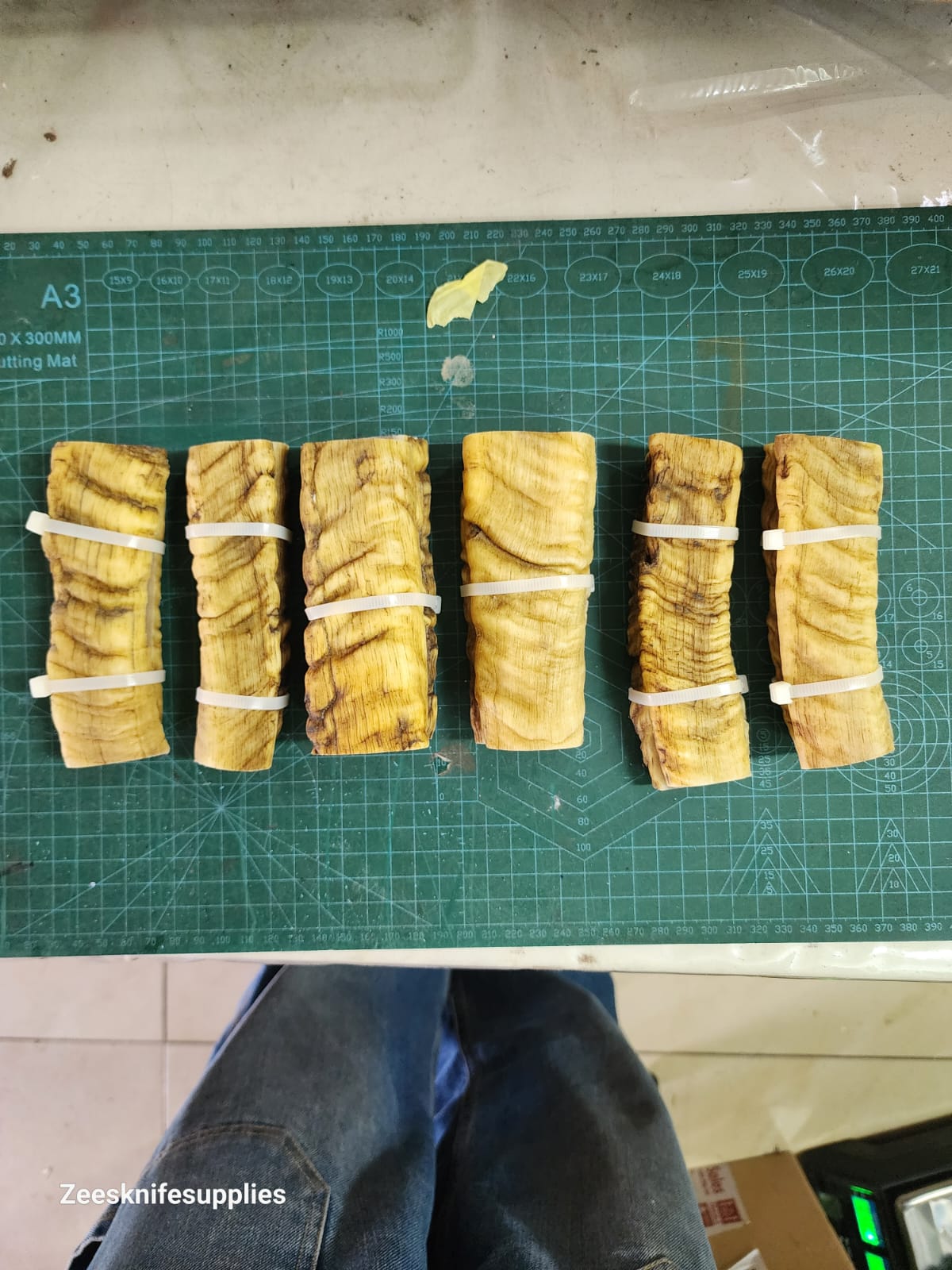 Marino Rams Horn - Set