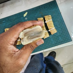 Alternative view of Marino Rams Horn - Set