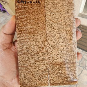 Curly Mango Scale Set - CMS - O - 16