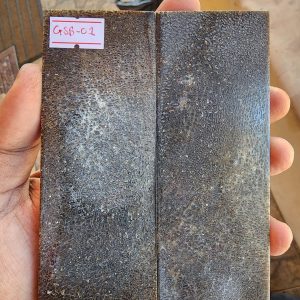 Giraffe Sponge  Bone - GSB - 1 - Scales