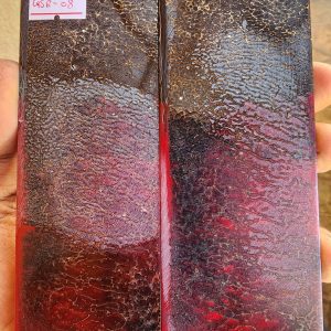 Giraffe Sponge  Bone - GSB - 8 - Scales