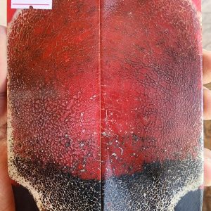 Giraffe Sponge  Bone - GSB - 6 - Scales