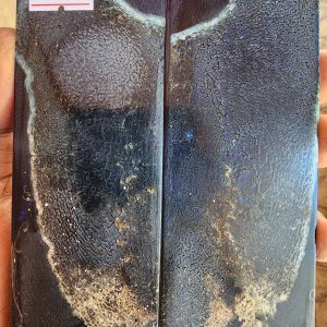 Giraffe Sponge  Bone - GSB - 11 - Scales