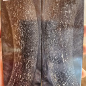 Kudu Horn Bone - ANT - 10