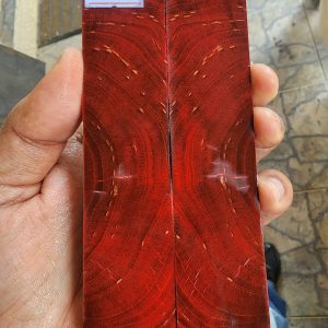 Maple Burl Scale Set - MBD - 38