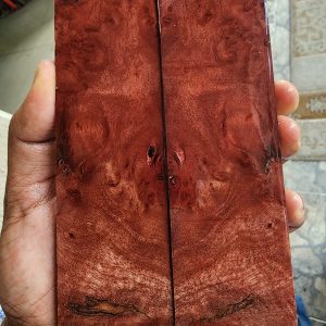 Bayur Burl Scale Set - BYB - D - 2
