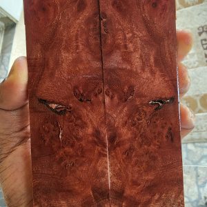 Bayur Burl Scale Set - BYB - D - 1