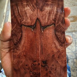 Bayur Burl Scale Set - BYB - D - 4
