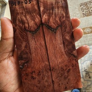 Bayur Burl Scale Set - BYB - D - 5