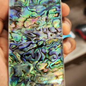 Fabricated Abalone shell / Chaos Shell - 140*50*6 - slight defect