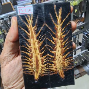 Pine Cone Resin Scale Set - P.N.R - 10