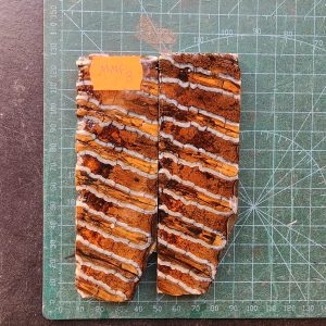 Mammoth Molar set - MMF - 3