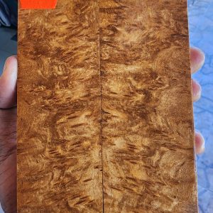 Gempol Burl Set of Scales - GBF - 4