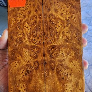 Gempol Burl Set of Scales - GBF - 5