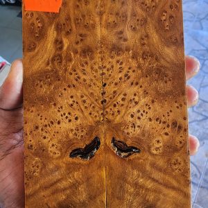 Gempol Burl Set of Scales - GBF - 7