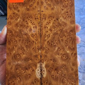 Gempol Burl Set of Scales - GBF - 8