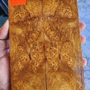 Gempol Burl Set of Scales - GBF - 9