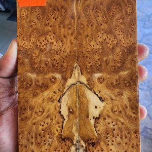 Gempol Burl Set of Scales - GBF - 6