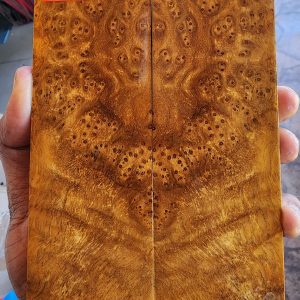 Gempol Burl Set of Scales - GBF - 12