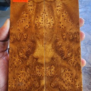 Gempol Burl Set of Scales - GBF - 10