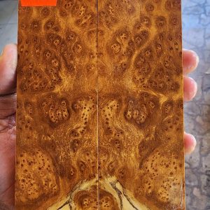 Gempol Burl Set of Scales - GBF - 14