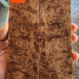 Bayur Burl Scale Set - BYB - F - 2