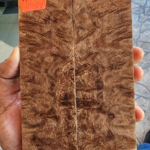 Bayur Burl Scale Set - BYB - F - 1