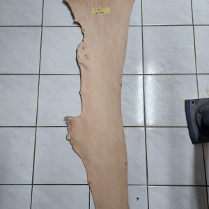 Leather Belly - F - B - 6 - 43 Deci