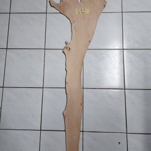 Leather Belly - F - B - 8 - 26 Deci