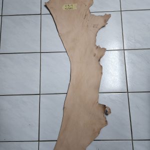 Leather Belly - F - B - 9 - 42 Deci