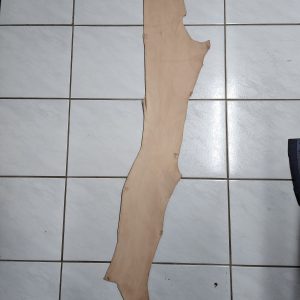 Leather Belly - F - B - 10 - 28 Deci