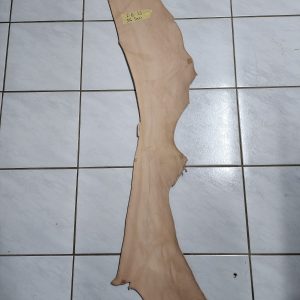 Leather Belly - F - B - 12 - 36 Deci