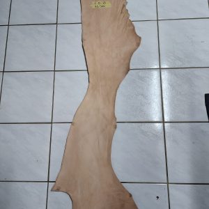 Leather Belly - F - B - 13 - 46 Deci