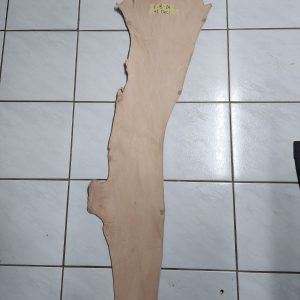 Leather Belly - F - B - 14 - 41 Deci