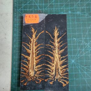 Pine Cone Resin Scale Set - P.R.J - 1