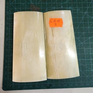 Giraffe Bone Set - B G M - 02