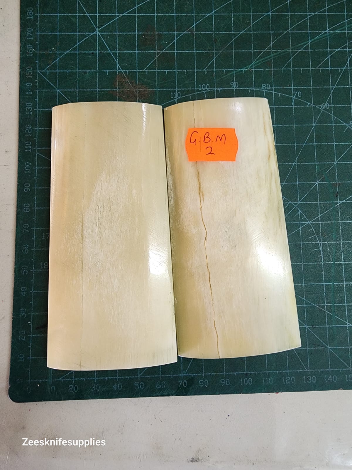 Giraffe Bone Set - B G M - 02