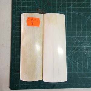 Giraffe Bone Set - B G M - 03