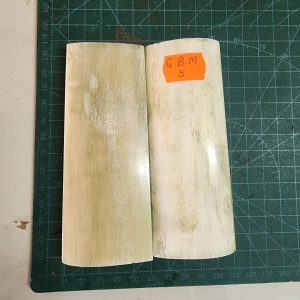 Giraffe Bone Set - B G M - 05