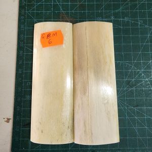 Giraffe Bone Set - B G M - 06