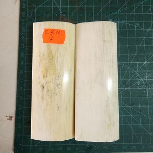 Giraffe Bone Set - B G M - 07