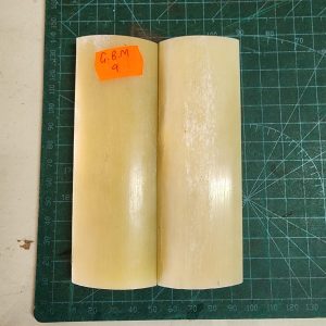 Giraffe Bone Set - B G M - 09