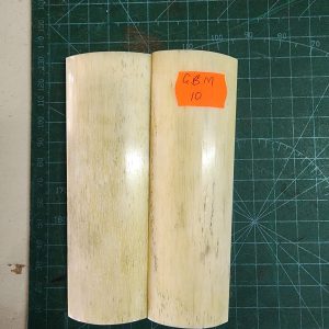 Giraffe Bone Set - B G M - 10