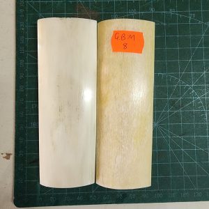 Giraffe Bone Set - B G M - 08
