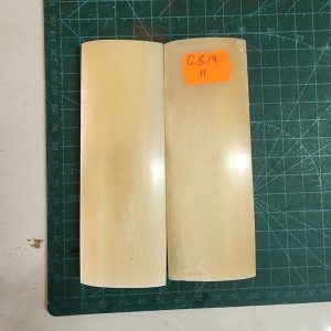 Giraffe Bone Set - B G M - 11