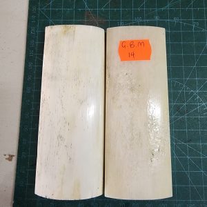 Giraffe Bone Set - B G M - 14