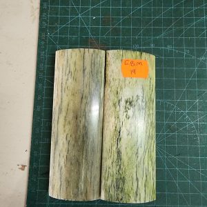 Giraffe Bone Set - B G M - 19