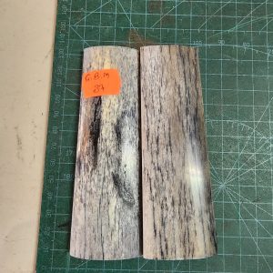 Giraffe Bone Set - B G M - 37
